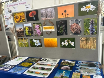 Photography stall display