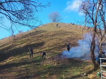 Barton Hill Farm