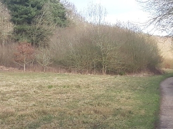 Grafham after scrub