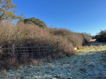 Upwood Meadows 1