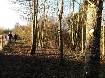 Upwood Meadows 2