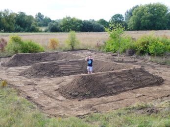Butterfly banks - Trumpington