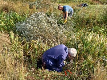 Godmanchester - smaller