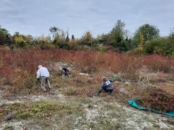 Cherry Hinton work party