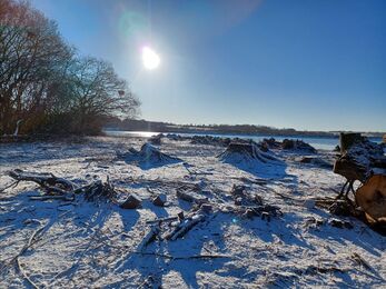 Pitsford scrub covered in snow