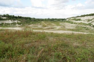 Cherry Hinton Chalk Pits - Jenny Clark