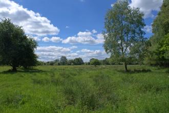 Flitwick Moor