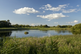 Image: Woodwalton Fen - Mark Hamblin/2020VISION