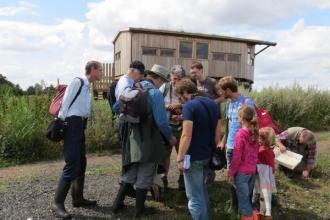 Surveying beetles at the Great Fen