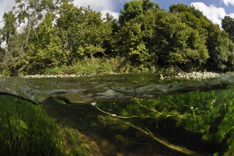 Split level river view - above and below