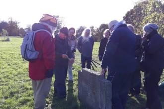 Surveying lichens for project WILDside