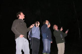 Volunteers with bat monitors