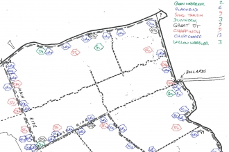 A breeding bird survey document from Brampton Wood