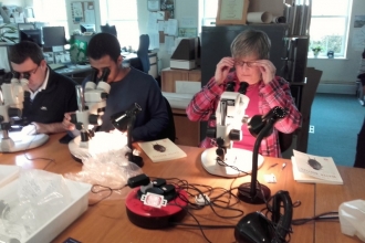 Volunteers conducting a survey with microscopes