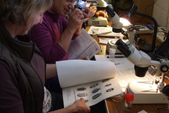 Volunteers conducting monitoring and research indoors