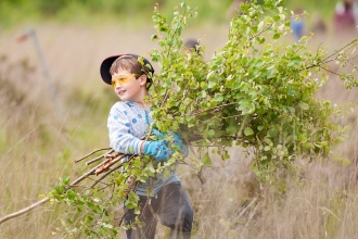 Local school children cut and collect growing tree saplings.