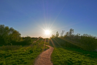 Cambourne Nature Reserve