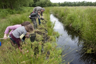 Family pond dipping at a wetland nature reserve