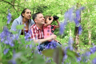 Family in bluebell woodland