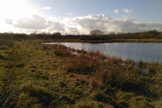 Nene Wetlands - Dragonfly Lake
