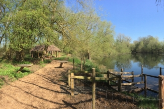 Nene Wetlands