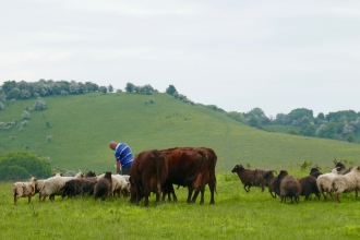 Pegsdon Hills by Caroline Fitton