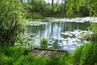 Paxton Pits