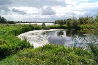 Summer Leys Nature Reserve