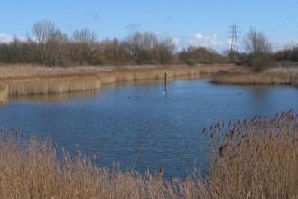 Woodston Ponds