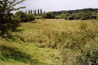 Stoke Bruerne Brick Pits