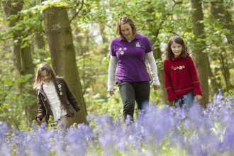 Children in bluebell wood with Wildlife Watch Club