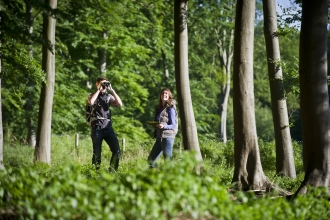 People walking in woodland