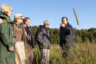 Wildflower walk