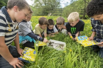 Children doing invertebrate identification - Ross Hoddinott/2020VISION