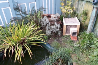 A hedgehog house in Becky Mayes's garden