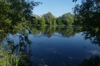 A view of Priory Park by Diana Spencer for 30 Days Wild