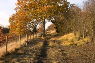 Sharnbrook Summit credit. Wildlife Trust