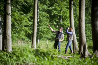 People surveying woodland