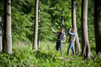 People surveying woodland