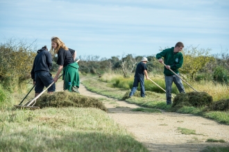 Volunteers on a nature reserve