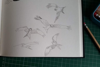 wildlife artwork
