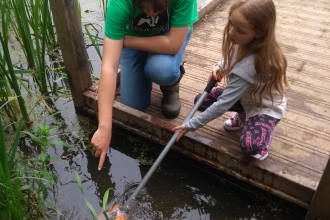 Nene Wetlands pond dipping