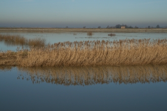 Ouse washes credit. Pat Doody