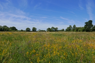 Upwood Meadows