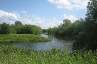 Irthlingborough by Annette Traverse-Healey