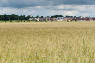 A view across Trumpington Meadows in June