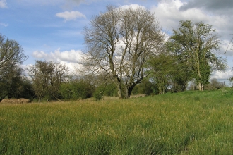 Dropshort marsh