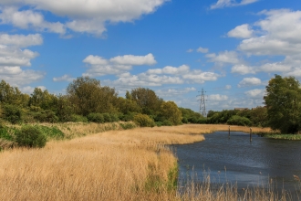 Woodston Ponds 