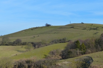 Pegsdon Hills 