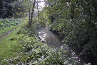 Flitwick Moor